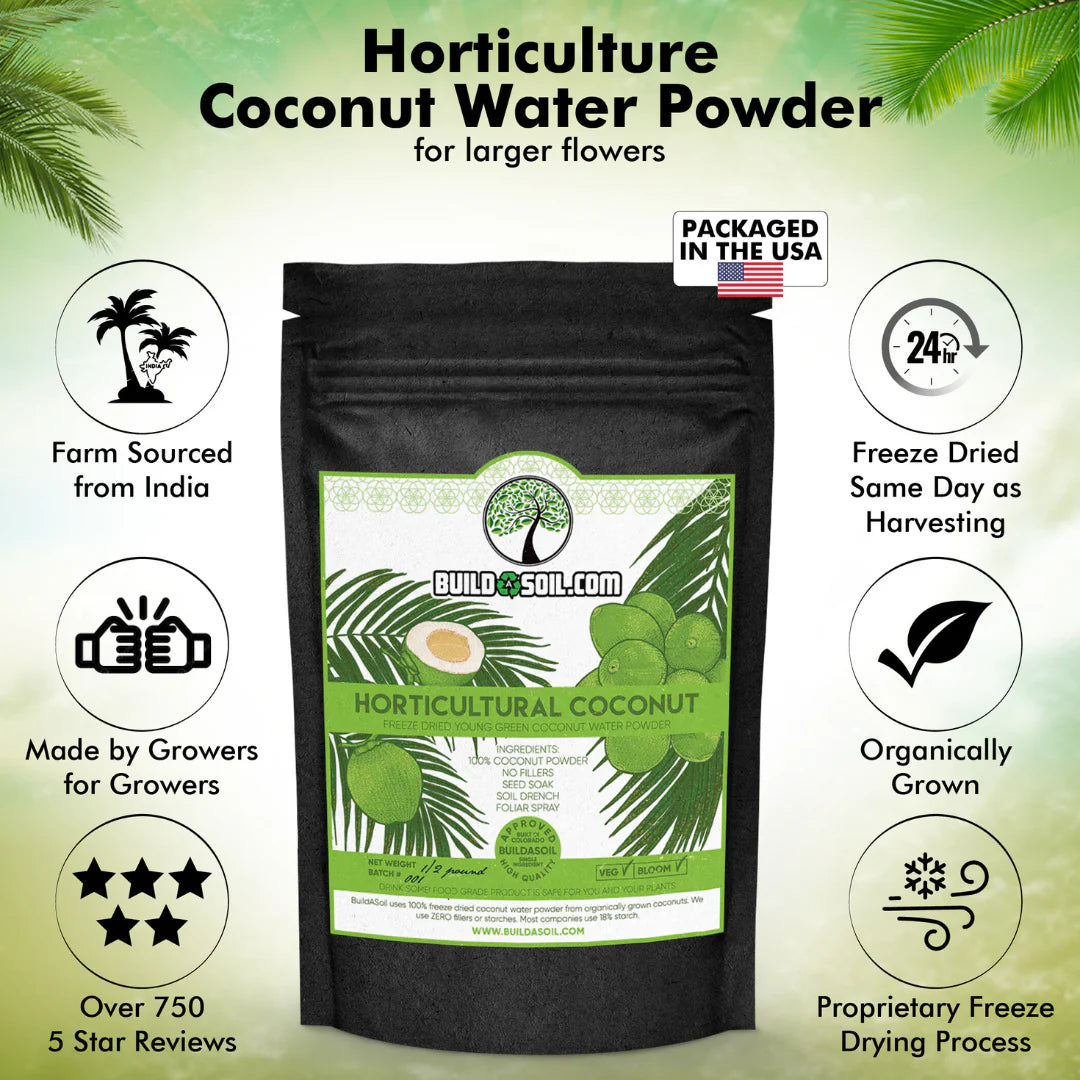 Coconut Water Powder - Raw Freeze Dried Organic